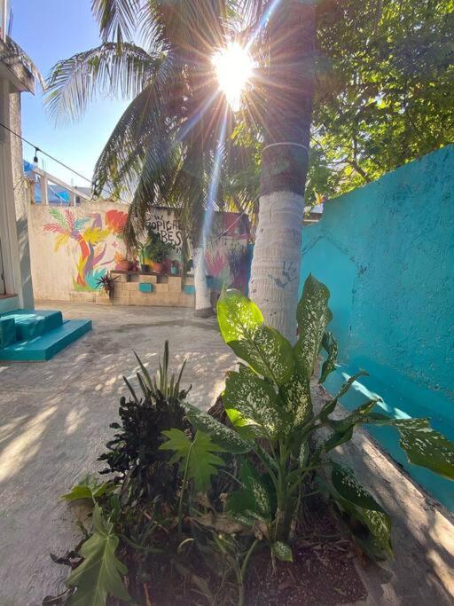 Casa Pitahaya - 2 Rooms/private Pool * Isla Mujeres