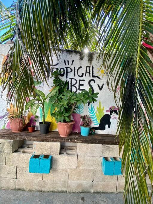 Casa Pitahaya - 2 Rooms/private Pool Holiday home