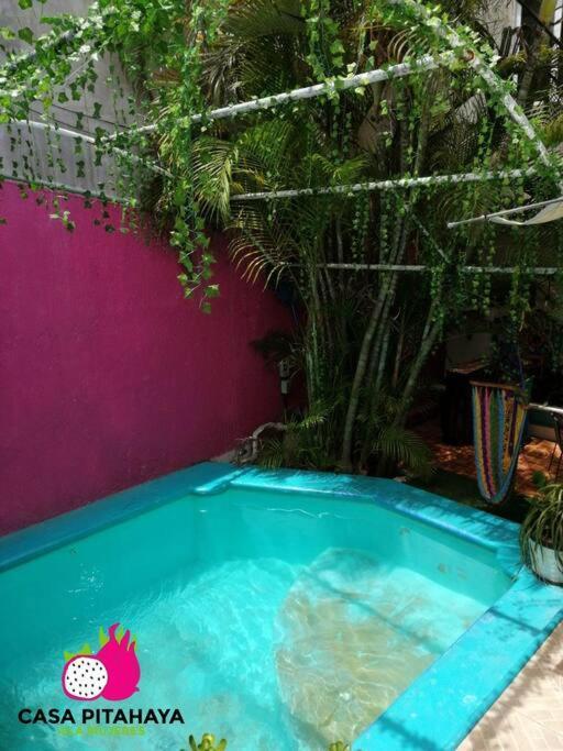 Casa Pitahaya - 2 Rooms/private Pool Holiday home