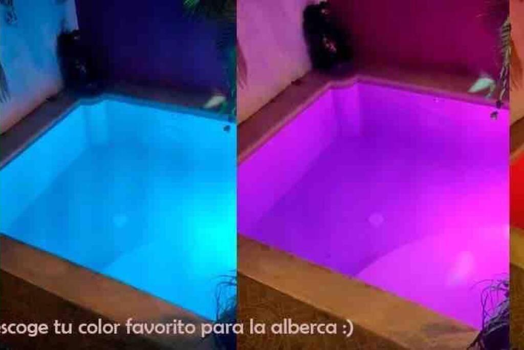 Casa Pitahaya - 2 Rooms/private Pool *